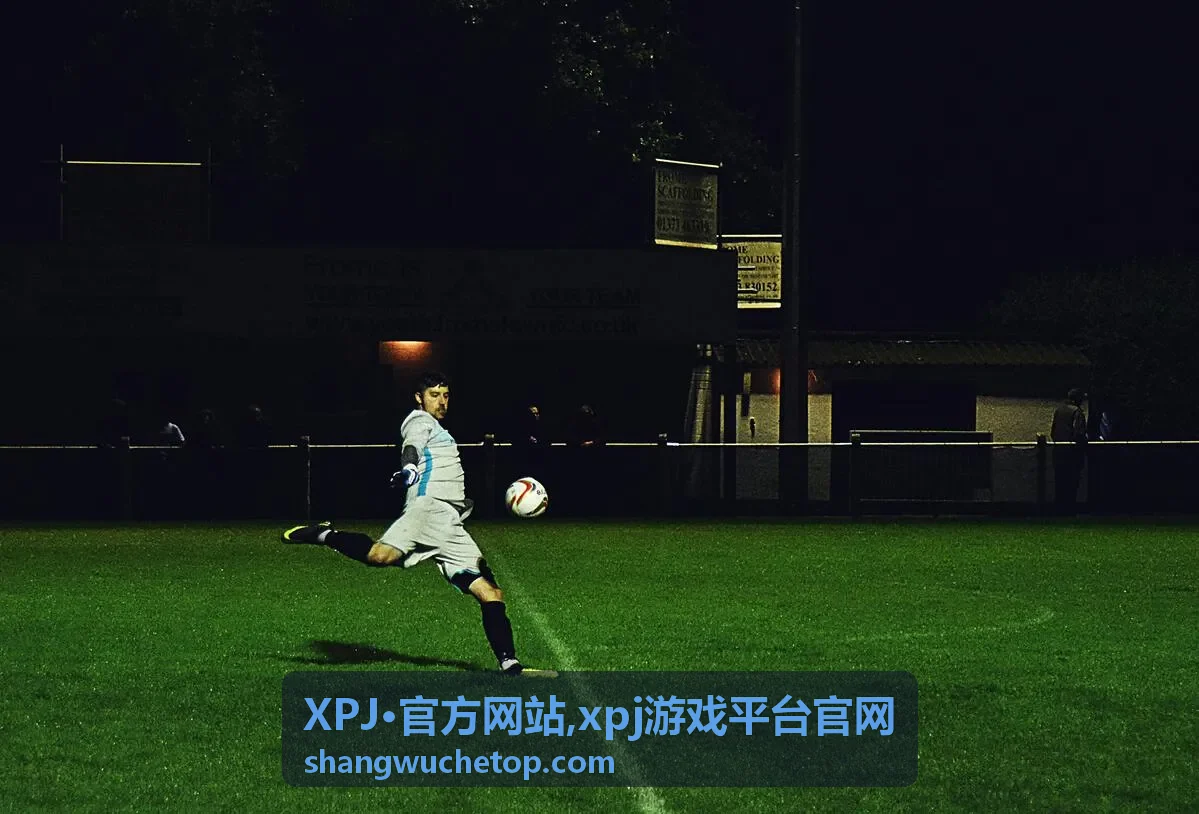 XPJ·官方网站 xpj游戏平台官网首屏封面