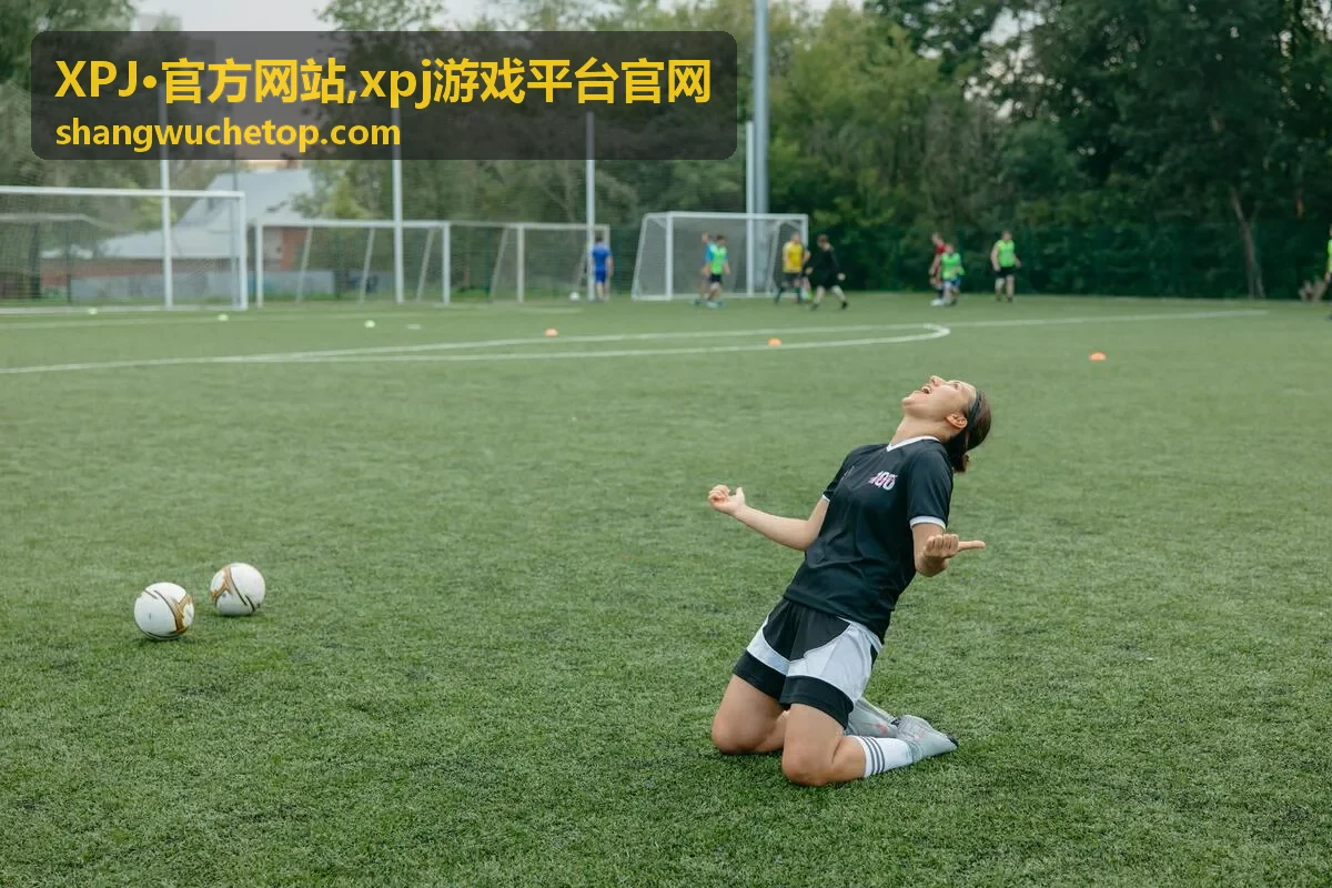 XPJ·官方网站 xpj游戏平台官网推荐封面